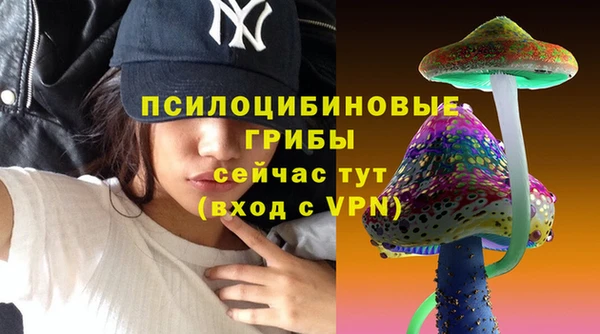 тгк Аркадак